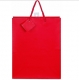 Large Red Gift Bag